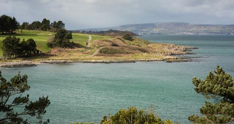 Stricklands Glen, part of North Down Coastal Path