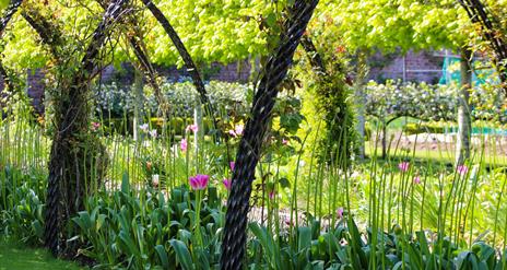 Bangor Castle Walled Garden