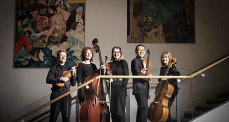 Ulster Orchestra Summer Concert