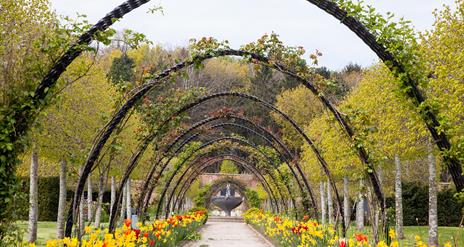 Walled Garden