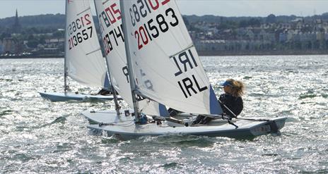 ILCA dinghies compete in Ballyholme bay