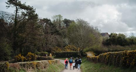 Wildlife Walks at the Ulster Folk Museum