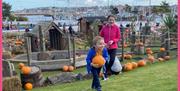 Kids enjoying picking pumpkins