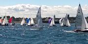 Sail boats on the water