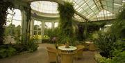 Ballywalter Park, inside the conservatory