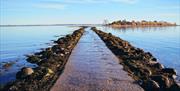 Island Hill & North Strangford Nature Reserve
