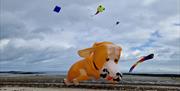 Ards Peninsula Villages Partnership Kite Festival