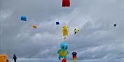 Ards Peninsula Villages Partnership Kite Festival