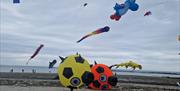 Ards Peninsula Villages Partnership Kite Festival