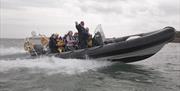 Strangford Lough Boat Trips