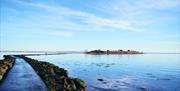 Island Hill & North Strangford Nature Reserve
