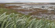 Ballymacomick Point