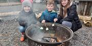 Toasting Marshmallows on Firepit