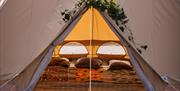 Wellbeing tent