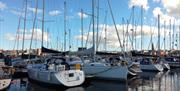 Boats moored at the marina