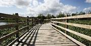an image of a path