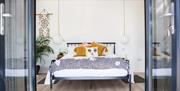 Modern Bedroom with double doors to outside