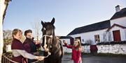 a photograph of a man, woman and a girl looking at a horse