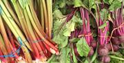 Seasonal vegetables from local produce farmers at Royal Hillsborough Farmers Market