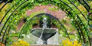 a photograph of a water fountain in the bangor walled garden surrounded by metal arches and colourful flowers