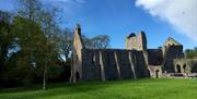 Grey Abbey ruins