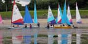 a photo of some sailboats on the beach