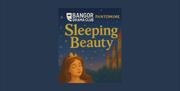 Bangor Drama Club, Sleeping Beauty Pantomime poster