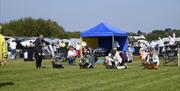 Dachshund judging in progress last year at Bangor Ch Show. All nine breeds were there on the day, from the smallest  'Rabbit' smooth coated, through t