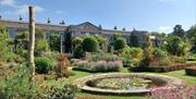 Draw inspiration from the gardens at Mount Stewart