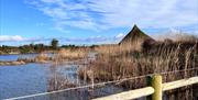 Castle-Espie-Photo-2