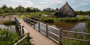 WWT Castle Espie Wetland Centre