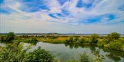 The picturesque surrounds of Castle Espie