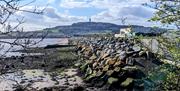 Scrabo Tower from the Floodgates