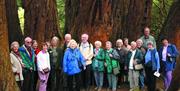 A tour group posing for the photo in the woods