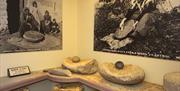 a photo of some rocks and posters on display in a museum