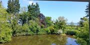 Pond and greenery