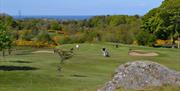 Golfers on the green