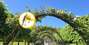 Bangor Castle Walled Garden