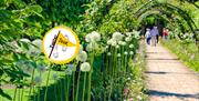 Walled Garden