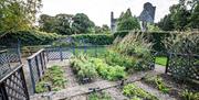 Greyabbey Physic Garden with Abbey in background