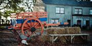 Harvest at the Ulster Folk Museum