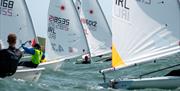 ILCA dinghies racing
