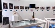 Overview of the Avalon Guitar Exhibition
