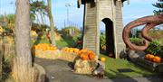 Pumpkins at Pickie Park