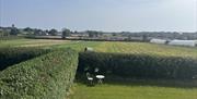 Views over hedges and fields