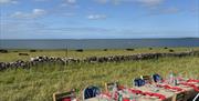Ballyboley Wild Dining