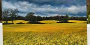Fields of Gold