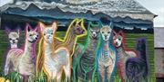 Mural of alpacas at Ashtonelle Alpacas