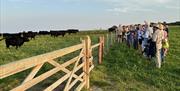 Farm Walk at The Orlock