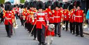 Irish Guards